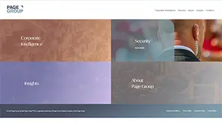 The Page Group website